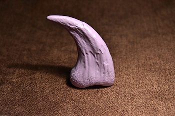 DINO10002 Коготь аллозавра