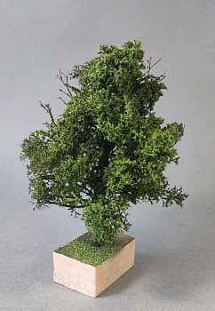 НЕ-35072 Дерево лето