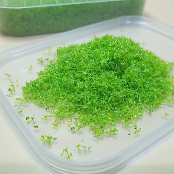 5739 присыпка хвоя, 200 мл, яркий желто-зеленый