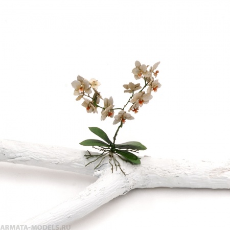 S176MWP Орхидея, размер L