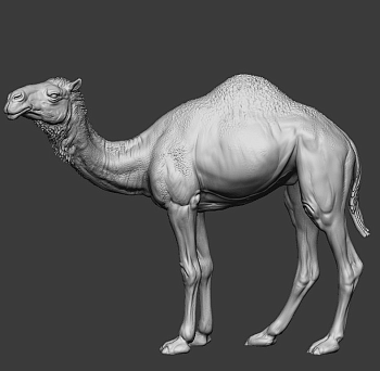 CHM-54248. Животные: Верблюд. 54 мм. Материал - смола.